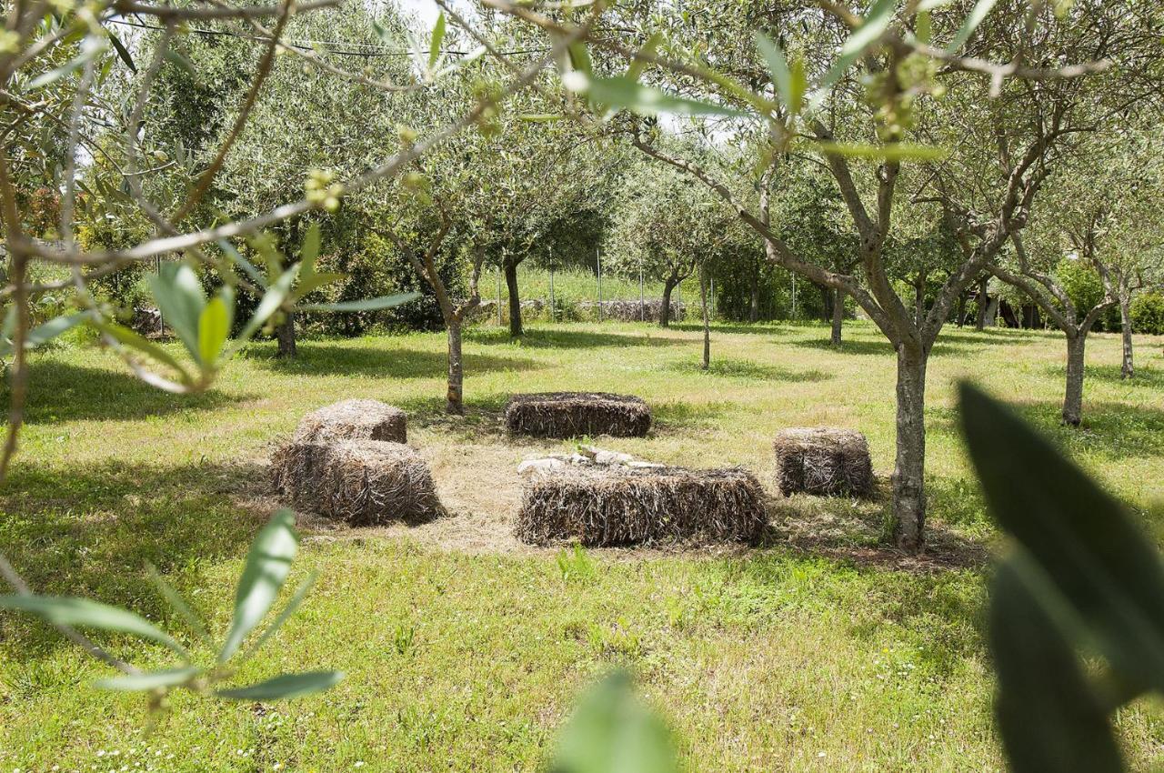B&B Trulli Valle D'Itria Martina Franca Exterior photo