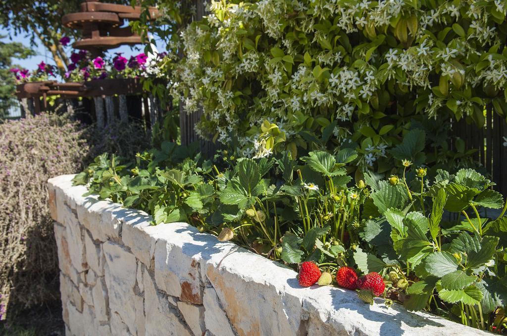 B&B Trulli Valle D'Itria Martina Franca Exterior photo